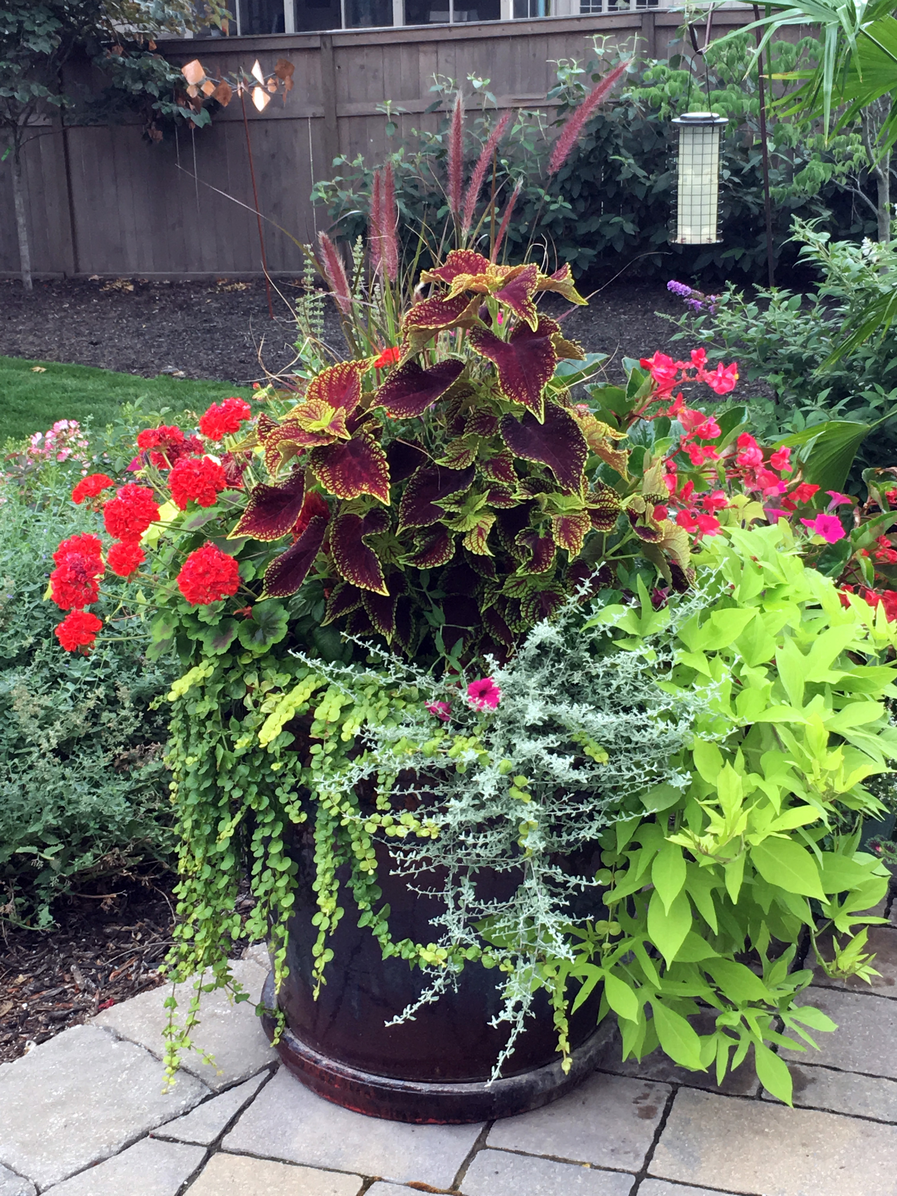 Container Gardens & Seasonal Decor